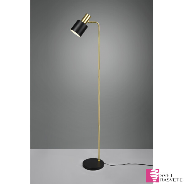 TRIO-Rasveta-R41041080-Floor-lamp-black-gold-Metal-1